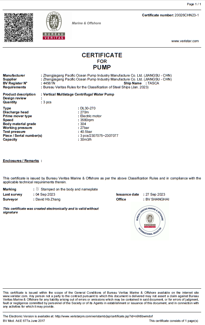 France BV modeⅡ scheme of marine pump(p1)